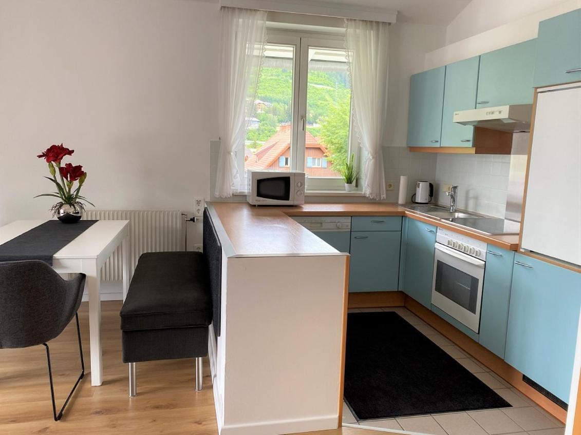 Appartement Dachsteingasse By Schladming-Appartements Ngoại thất bức ảnh